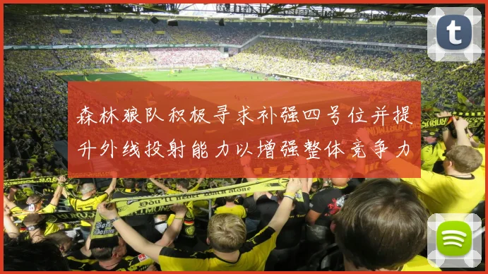 森林狼队积极寻求补强四号位并提升外线投射能力以增强整体竞争力