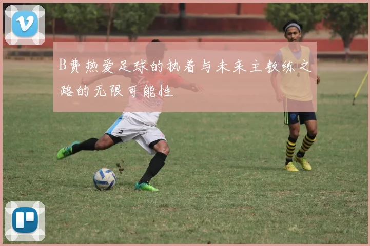 B费热爱足球的执着与未来主教练之路的无限可能性
