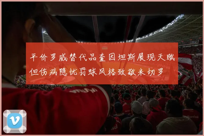 平价罗威替代品奎因坦斯展现天赋但伤病隐忧罚球风格致敬米切罗